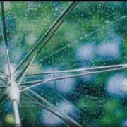 ヒメ日記 2025/08/21 13:41 投稿 いと ラブハート