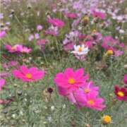 ヒメ日記 2025/09/09 23:21 投稿 いと ラブハート