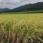 ヒメ日記 2025/10/06 15:02 投稿 いと ラブハート