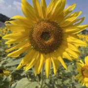 ヒメ日記 2025/10/28 10:21 投稿 いと ラブハート