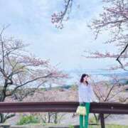 ヒメ日記 2025/03/04 07:44 投稿 真里奈/Marina レジーナ