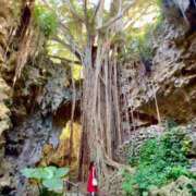 ヒメ日記 2025/07/18 16:24 投稿 真里奈/Marina レジーナ