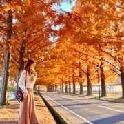 ヒメ日記 2025/11/25 15:04 投稿 真里奈/Marina レジーナ