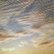 ヒメ日記 2025/01/23 18:14 投稿 カナエ 月兎（GET）