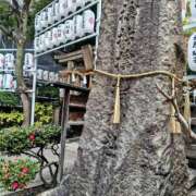 ヒメ日記 2025/01/24 18:35 投稿 カナエ 月兎（GET）