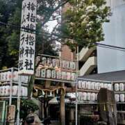 ヒメ日記 2025/02/17 18:19 投稿 カナエ 月兎（GET）