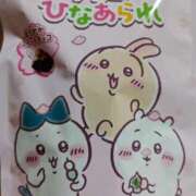 ヒメ日記 2025/02/18 17:17 投稿 カナエ 月兎（GET）