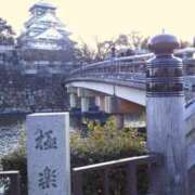 ヒメ日記 2025/02/24 18:16 投稿 カナエ 月兎（GET）