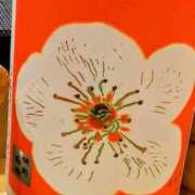 ヒメ日記 2025/02/25 18:25 投稿 カナエ 月兎（GET）