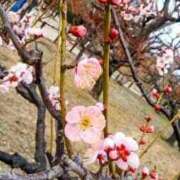 ヒメ日記 2025/02/28 18:58 投稿 カナエ 月兎（GET）