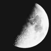 ヒメ日記 2025/03/07 18:21 投稿 カナエ 月兎（GET）