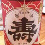 ヒメ日記 2025/03/11 18:44 投稿 カナエ 月兎（GET）