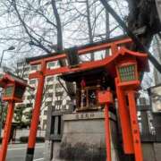 ヒメ日記 2025/03/12 15:13 投稿 カナエ 月兎（GET）