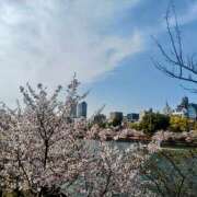 ヒメ日記 2025/04/09 16:13 投稿 カナエ 月兎（GET）