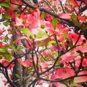 ヒメ日記 2025/04/15 18:37 投稿 カナエ 月兎（GET）