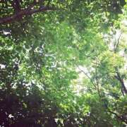 ヒメ日記 2025/05/02 18:20 投稿 カナエ 月兎（GET）