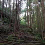 ヒメ日記 2025/05/05 16:16 投稿 カナエ 月兎（GET）