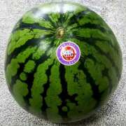 ヒメ日記 2025/05/14 16:37 投稿 カナエ 月兎（GET）