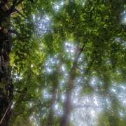 ヒメ日記 2025/05/15 19:13 投稿 カナエ 月兎（GET）