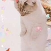 ヒメ日記 2025/05/17 19:38 投稿 あんな 奥鉄オクテツ神奈川店（デリヘル市場グループ）