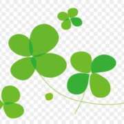 ヒメ日記 2025/02/23 22:53 投稿 りか 俺のジュニア