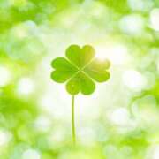 ヒメ日記 2025/03/22 04:56 投稿 りか 俺のジュニア