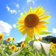 ヒメ日記 2025/07/21 10:07 投稿 りか 俺のジュニア