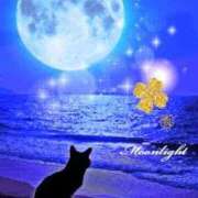 りか お知らせ🤗 俺のジュニア