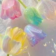 りか おはようございます🌈 俺のジュニア