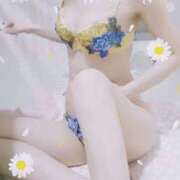 ヒメ日記 2025/03/19 08:30 投稿 白石 ゆゆ こあくまな熟女たち小倉店（KOAKUMAグループ）