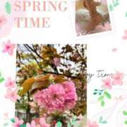 ヒメ日記 2025/04/10 20:35 投稿 白石 ゆゆ こあくまな熟女たち小倉店（KOAKUMAグループ）