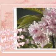 ヒメ日記 2025/04/21 17:24 投稿 白石 ゆゆ こあくまな熟女たち小倉店（KOAKUMAグループ）