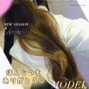 ヒメ日記 2025/11/17 14:19 投稿 白石 ゆゆ こあくまな熟女たち小倉店（KOAKUMAグループ）