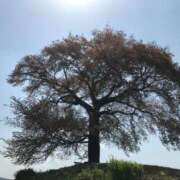 ヒメ日記 2025/04/30 08:11 投稿 ゆきの ラブハート