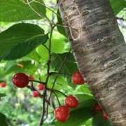 ヒメ日記 2025/05/03 19:02 投稿 ゆきの ラブハート