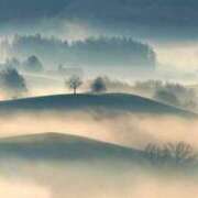 ヒメ日記 2025/01/10 19:07 投稿 内田　さえ 東京ローズマリー