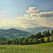 ヒメ日記 2025/05/02 23:27 投稿 内田　さえ 東京ローズマリー