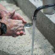 ヒメ日記 2025/05/04 23:47 投稿 内田　さえ 東京ローズマリー