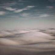 ヒメ日記 2025/05/12 23:57 投稿 内田　さえ 東京ローズマリー