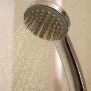 ヒメ日記 2025/06/12 20:57 投稿 内田　さえ 東京ローズマリー