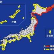 ヒメ日記 2025/07/30 20:27 投稿 内田　さえ 東京ローズマリー