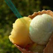 ヒメ日記 2025/08/02 16:04 投稿 内田　さえ 東京ローズマリー