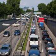 ヒメ日記 2025/08/12 02:07 投稿 内田　さえ 東京ローズマリー