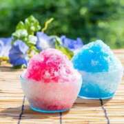 ヒメ日記 2025/08/21 17:17 投稿 内田　さえ 東京ローズマリー