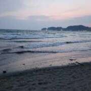 ヒメ日記 2025/08/27 18:57 投稿 内田　さえ 東京ローズマリー