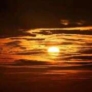 ヒメ日記 2025/08/28 23:37 投稿 内田　さえ 東京ローズマリー