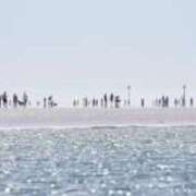 ヒメ日記 2025/09/02 16:37 投稿 内田　さえ 東京ローズマリー