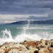 ヒメ日記 2025/09/19 12:13 投稿 内田　さえ 東京ローズマリー