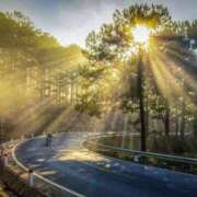 ヒメ日記 2025/09/30 16:37 投稿 内田　さえ 東京ローズマリー