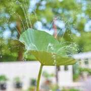 ヒメ日記 2025/10/08 23:57 投稿 内田　さえ 東京ローズマリー